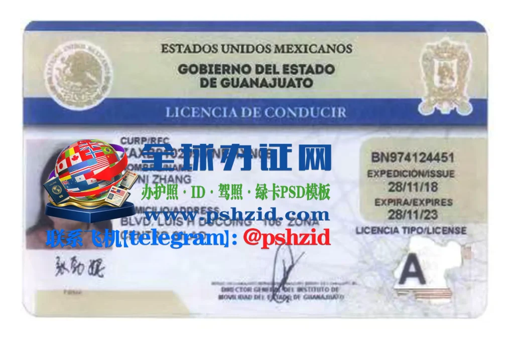 墨西哥瓜纳华托州驾照样本Guanajuato state driver's license