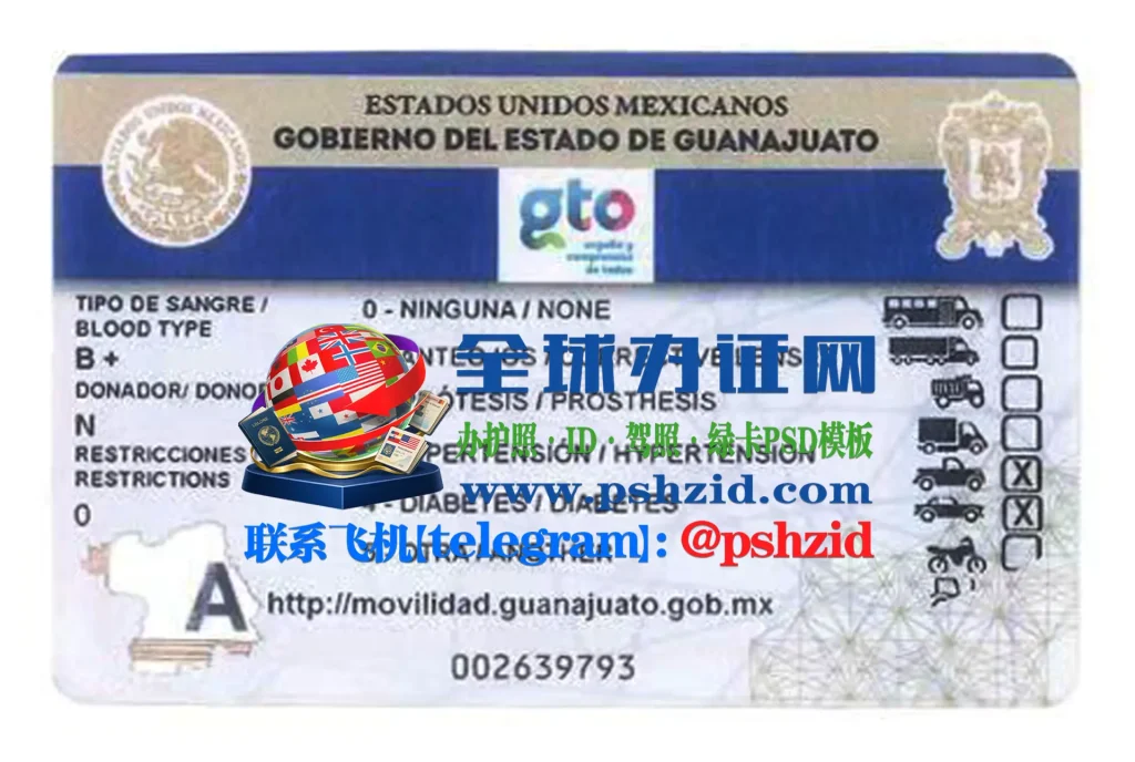 墨西哥瓜纳华托州驾照办理Guanajuato state driver's license application