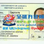 牙买加驾照样本Jamaica driver's license