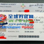 马尔代夫驾照样本Maldives driver's license