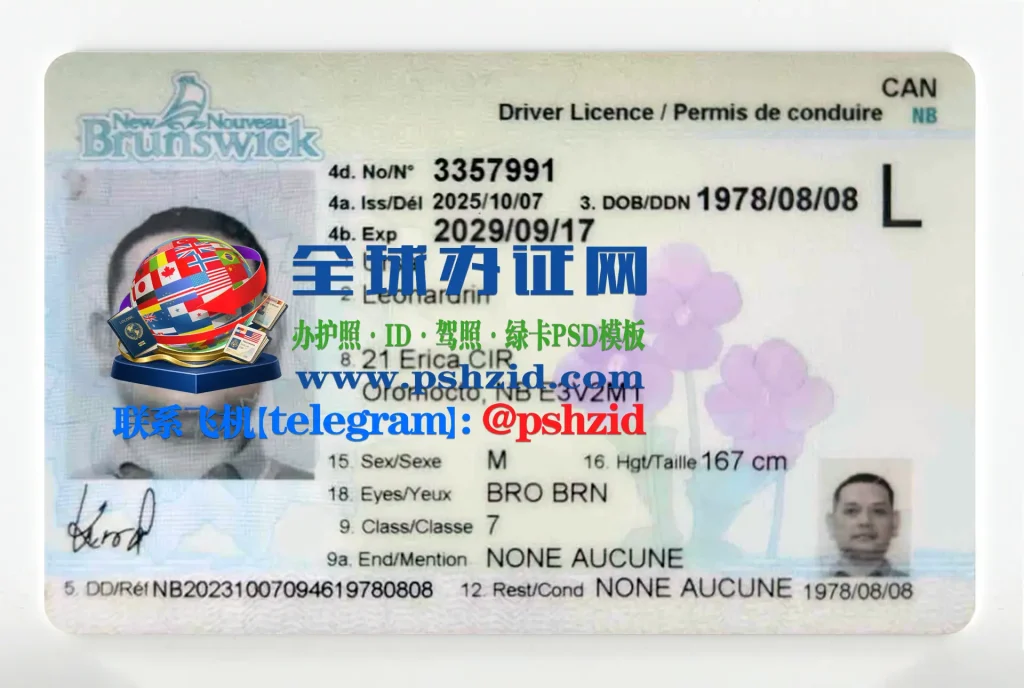 新不伦瑞克省驾照样本New Brunswick driver's license