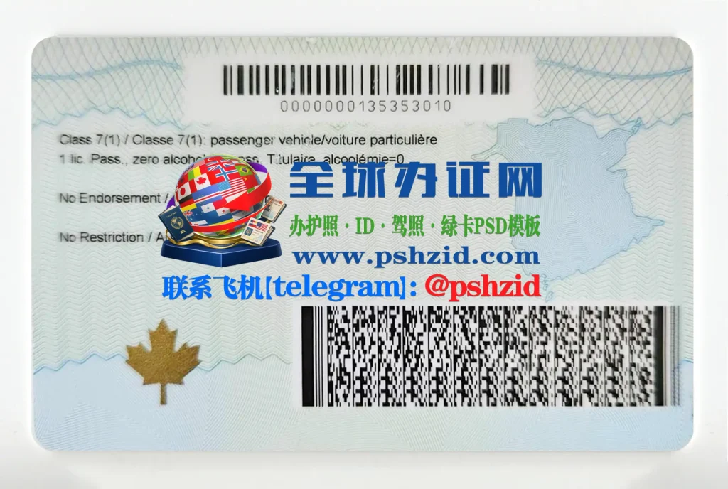 新不伦瑞克省驾照办理New Brunswick driver's license application