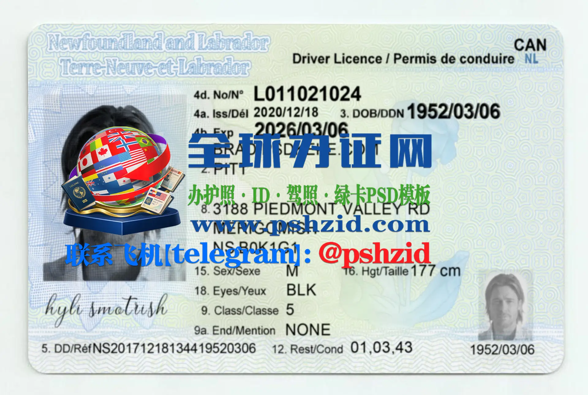 纽芬兰与拉布拉多省驾照样本Newfoundland and Labrador driver's license