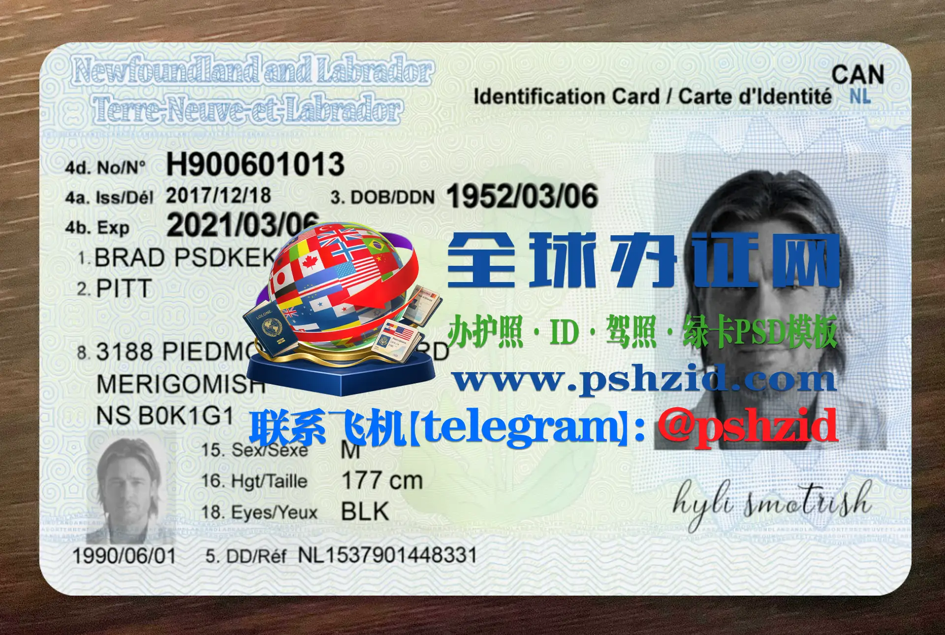 纽芬兰与拉布拉多身份证省身份证样本Newfoundland and Labrador identification card