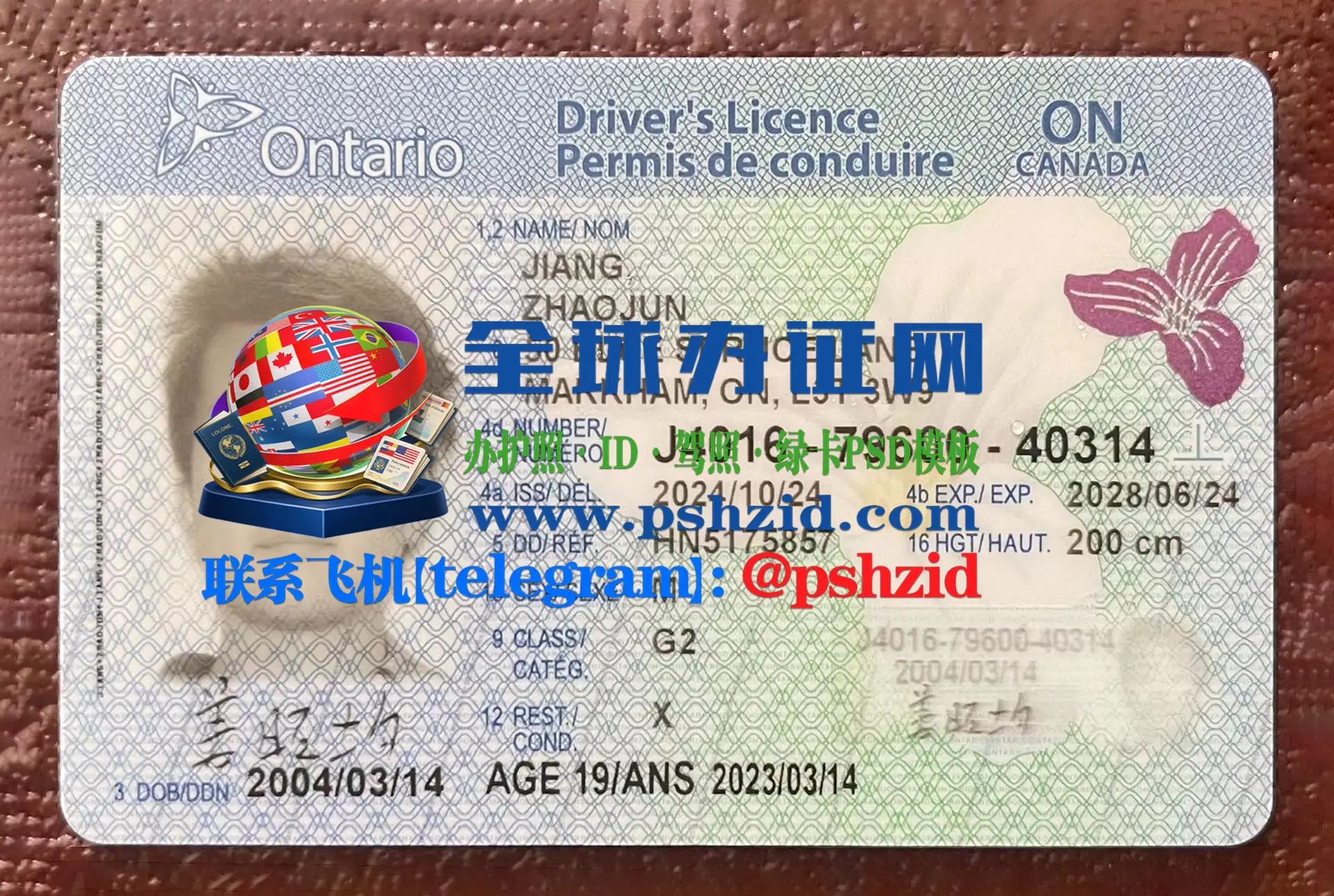 安大略省驾照样本Ontario driver's license