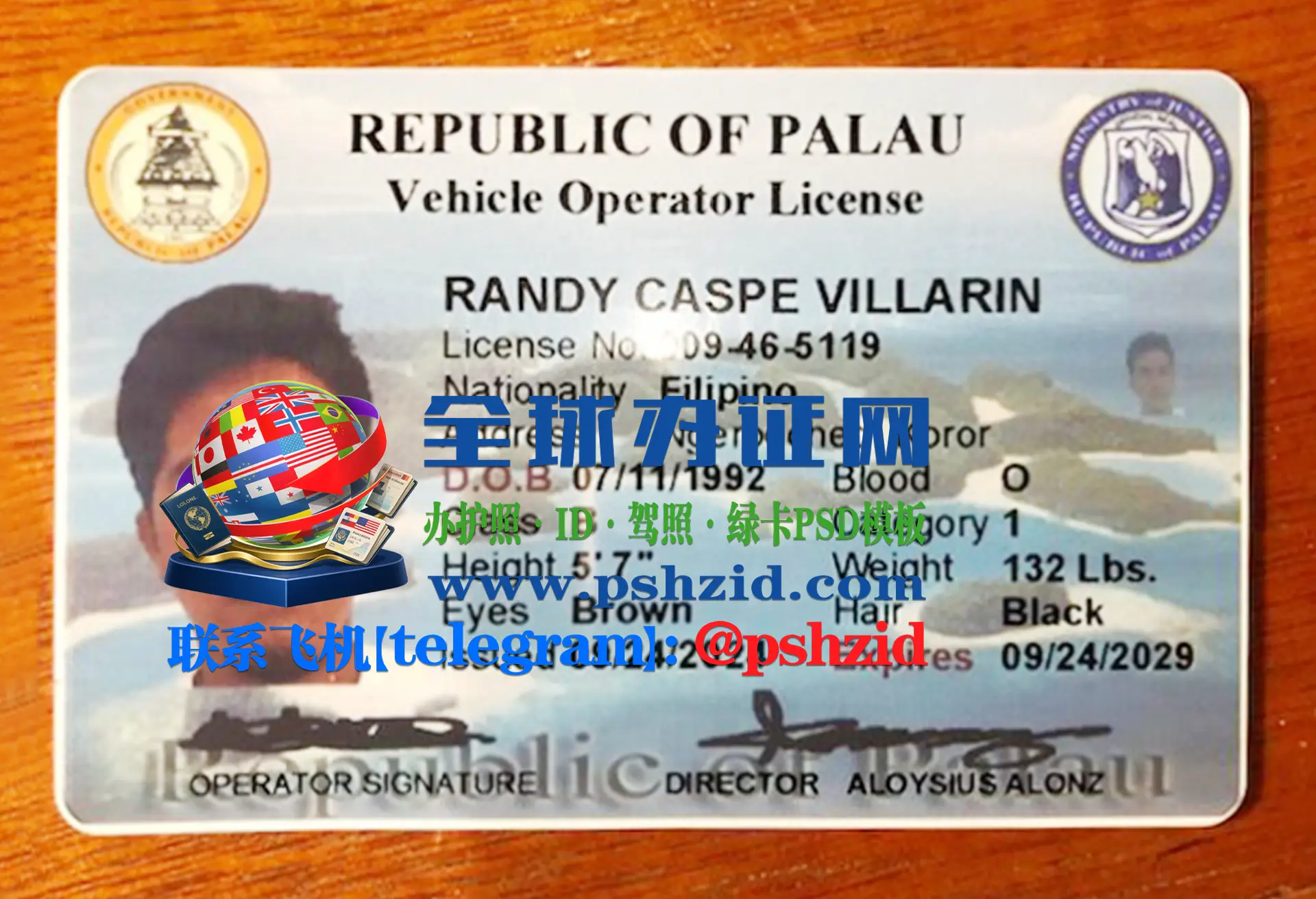 帕劳驾照样本Palau driver's license