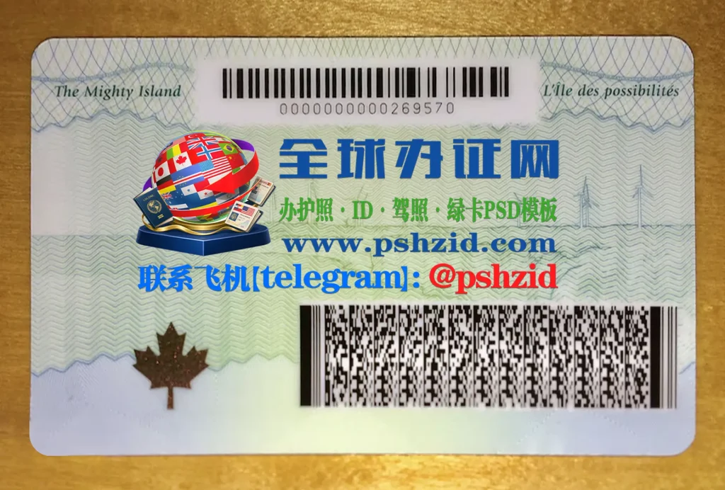 爱德华王子岛省驾照办理Prince Edward Island provincial driver's license application