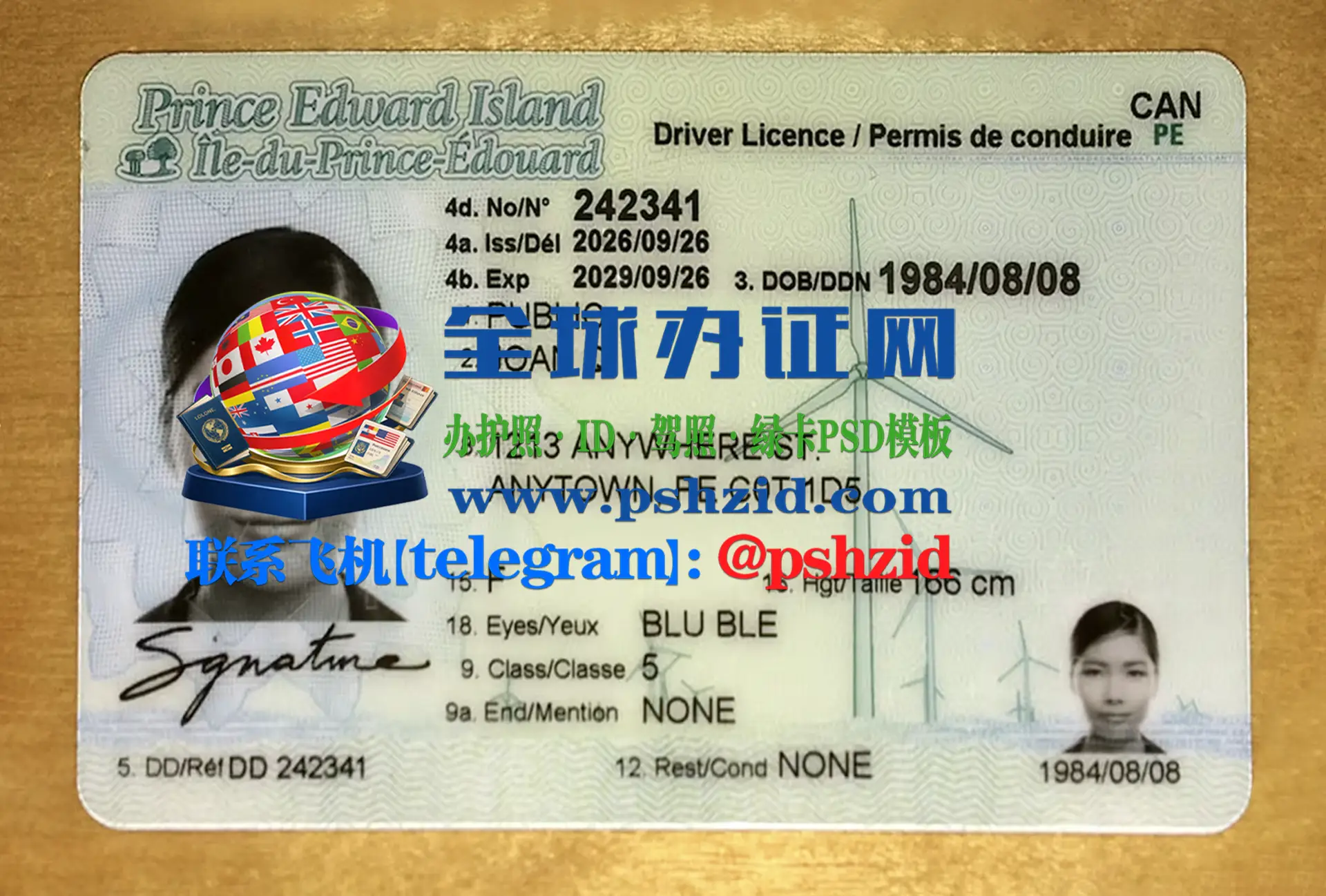 爱德华王子岛省驾照样本Prince Edward Island provincial driver's license
