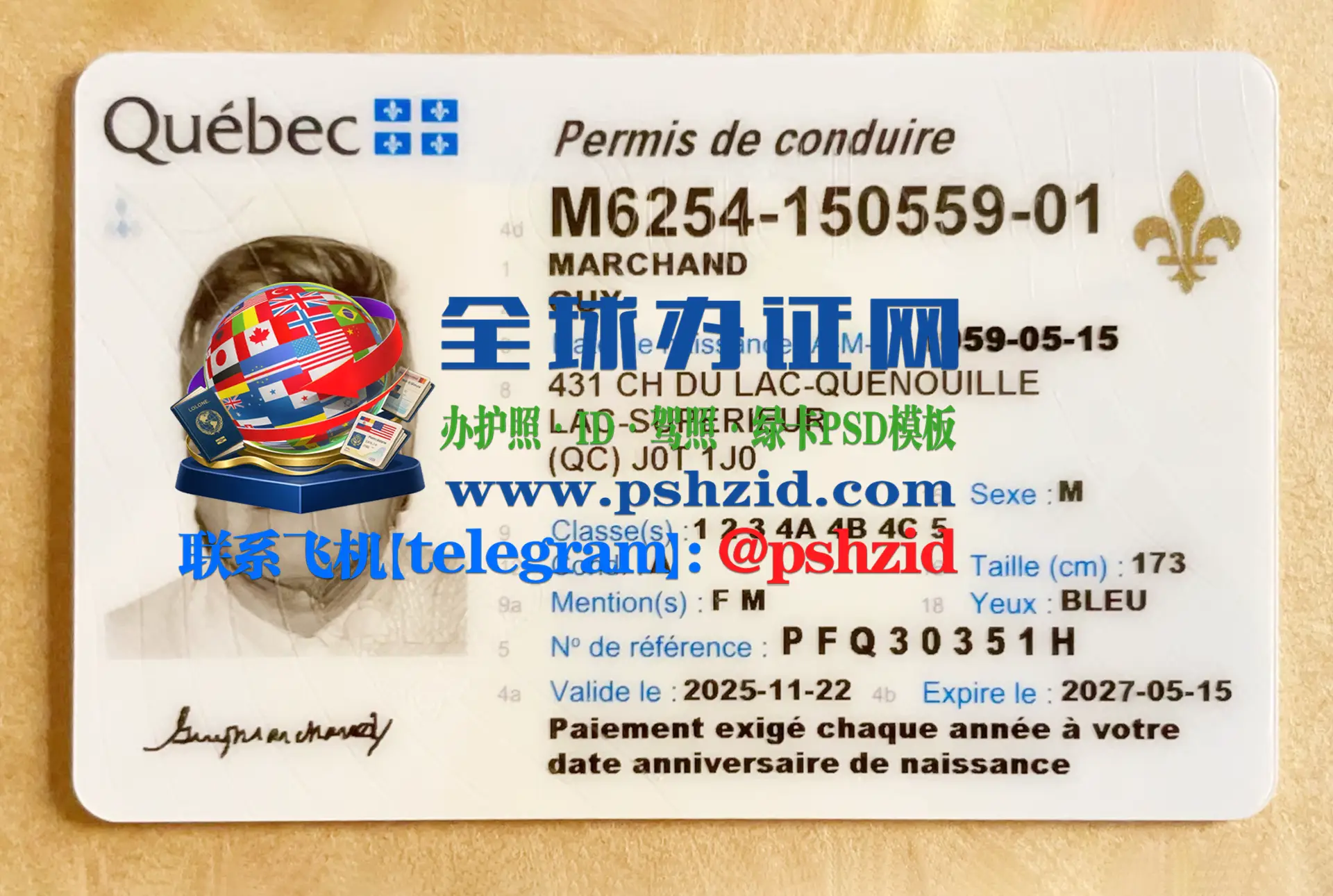 魁北克省驾照样本Quebec driver's license