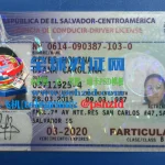 萨尔瓦多驾照样本Salvadoran driver's license