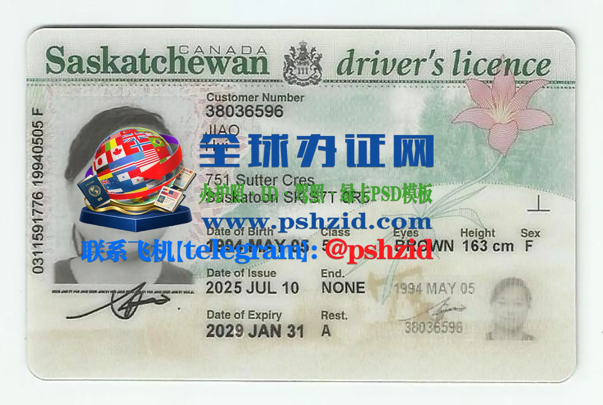萨斯喀彻温省驾照样本Saskatchewan driver's license