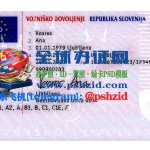 斯洛文尼亚驾照样本Slovenian driver's license
