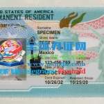 美国绿卡(永久居民卡) US Green Card (Permanent Resident Card)