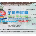 美国签证样本US visa