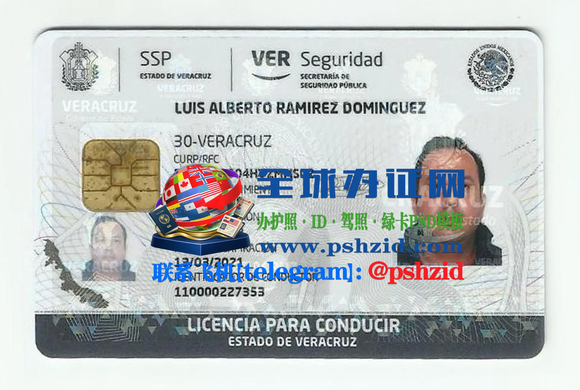 韦拉克鲁斯州驾照样本Veracruz state driver's license